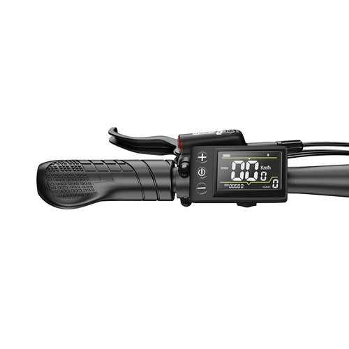 Vélo électrique DUOTTS C29 Max, moteur 250 W, 48 V, 18 Ah