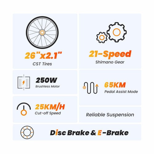 Vélo électrique tout-terrain Touroll U1 26 pouces, moteur 250 W, 36 V, 13 Ah