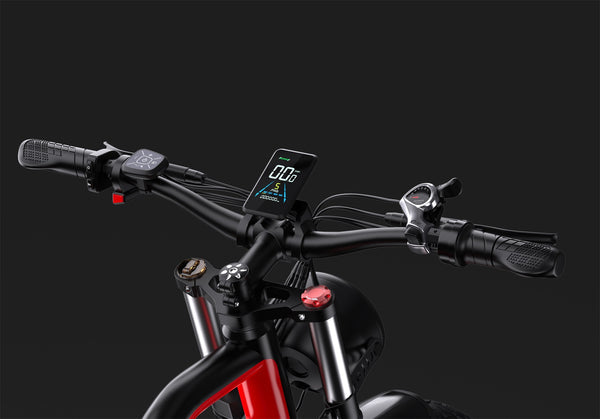 Vélo électrique DUOTTS N26 1500W