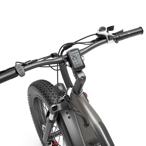 Vélo électrique GOGOBEST GF600 Plus, moteur 1000 W, 48 V 20 Ah