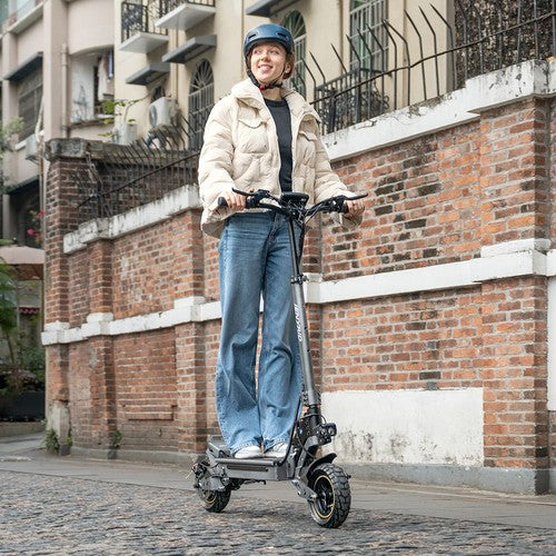 Trottinette électrique iENYRID S1, moteur 250 W, 48 V, 15 Ah