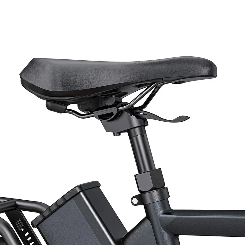 Vélo électrique de ville ENGWE P275 Pro