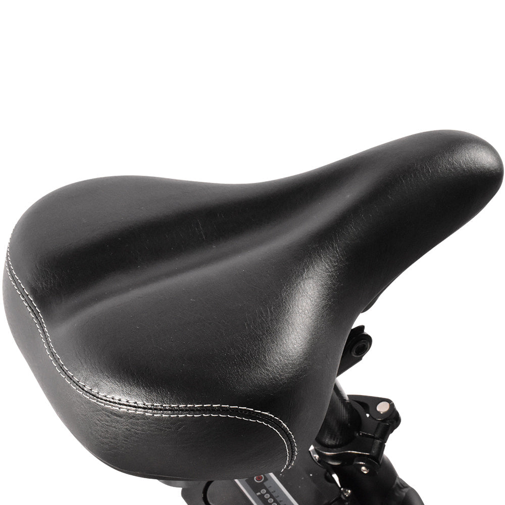 Vélo électrique KAISDA K201 3.0 36 V/20,8 Ah