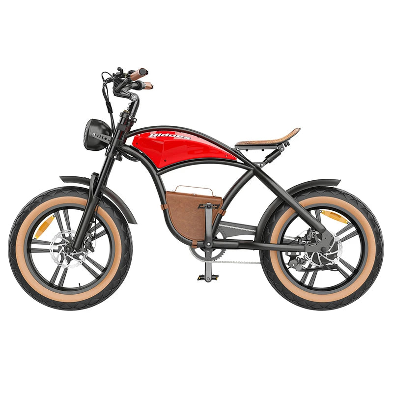 Moteur de vélo électrique Hidoes B10 1000 W