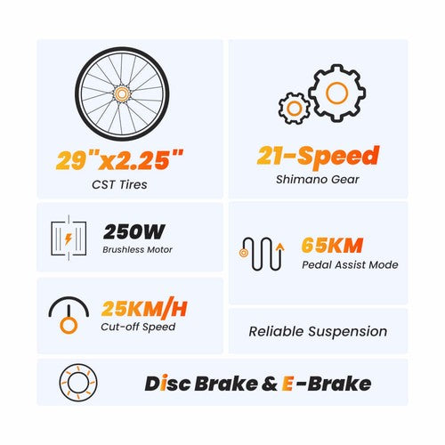 Vélo électrique tout-terrain Touroll U1 29 pouces avec moteur 250 W, 36 V 13 Ah