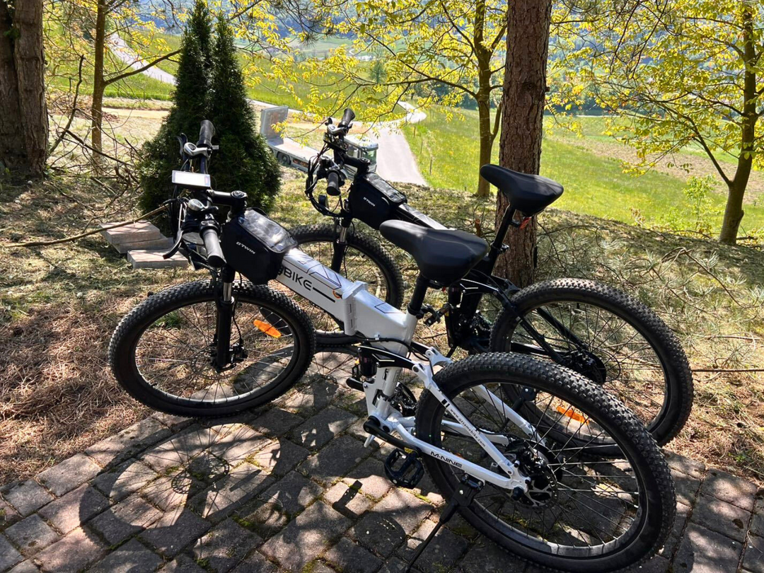 Vélo électrique à frein hydraulique LO26-II-YD