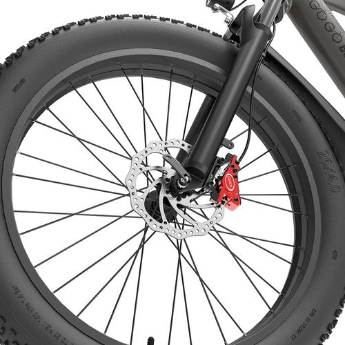 Vélo électrique GOGOBEST GF600 Plus, moteur 1000 W, 48 V 20 Ah