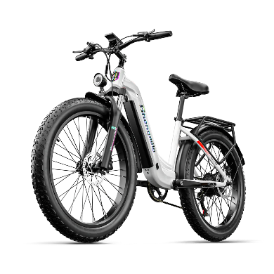 Vélo électrique Shengmilo MX06 1000W