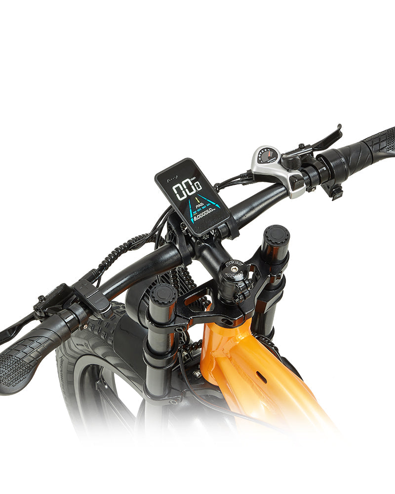 Vélo électrique à double moteur PULUMA PH003 MAX 2000 W à gros pneus