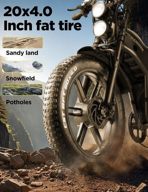 Vélo électrique RANDRIDE DM711, moteur 1000W*2, 48V 20Ah