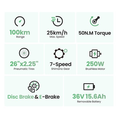 Vélo électrique Touroll B2, moteur 250 W, 36 V, 15,6 Ah