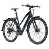 Vélo électrique Fafrees F700W 100 km
