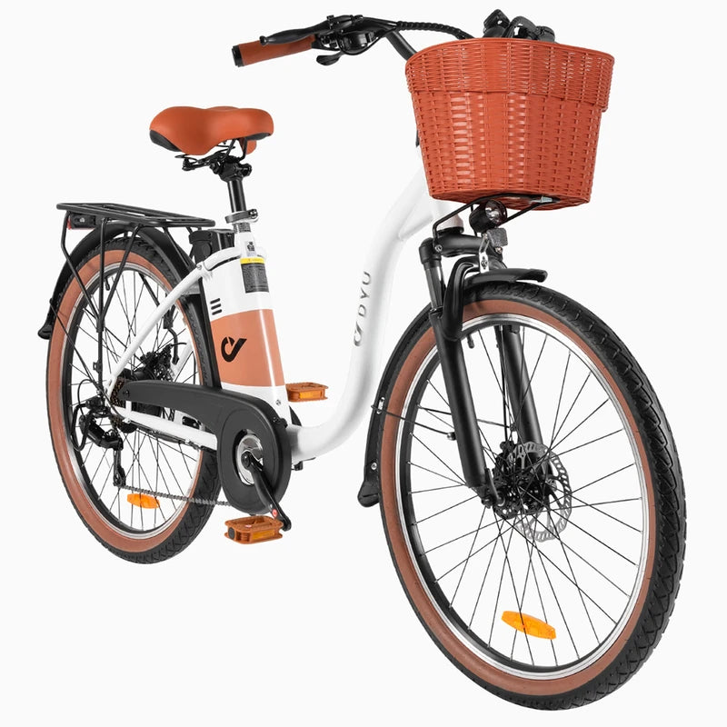 Vélo électrique DYU C6 Pro 250W 36V 15.6Ah Batterie