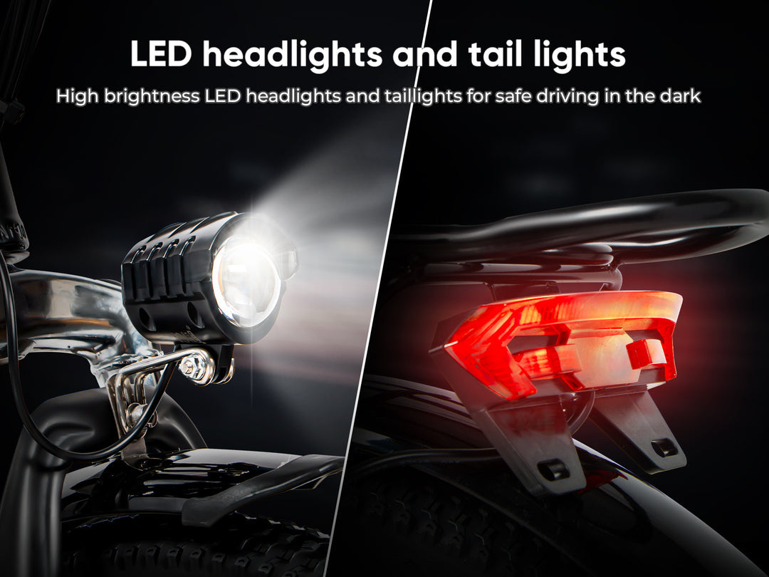 Vélo électrique pliant SAMEBIKE 20LVXD30-II