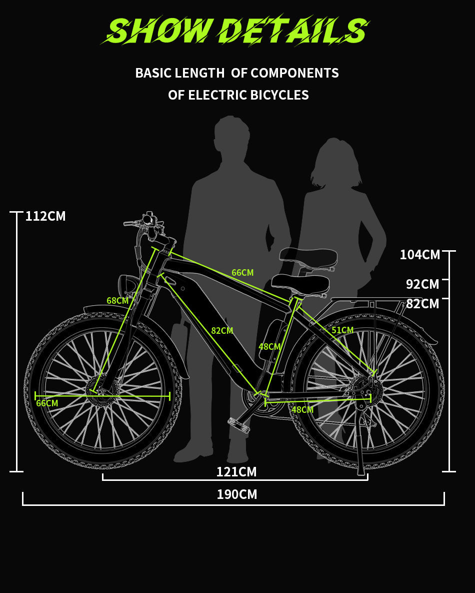 Vélo électrique DUOTTS F26 PRO 750 W*2