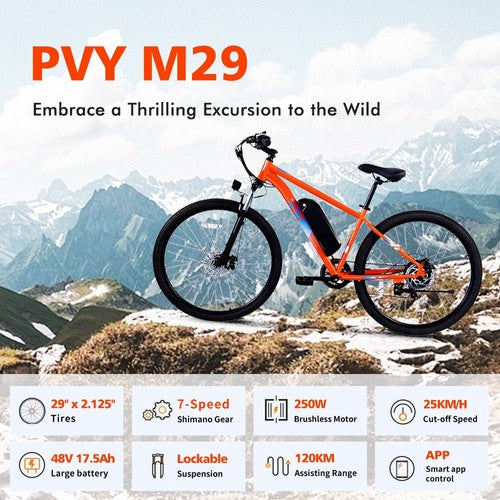 Vélo électrique PVY M29, moteur 250W, 48V, 17,5ah