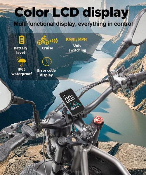 Vélo électrique RANDRIDE DM711, moteur 1000W*2, 48V 20Ah