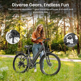 Vélo électrique Touroll J1 Pro, moteur 250 W, 36 V, 15,6 Ah