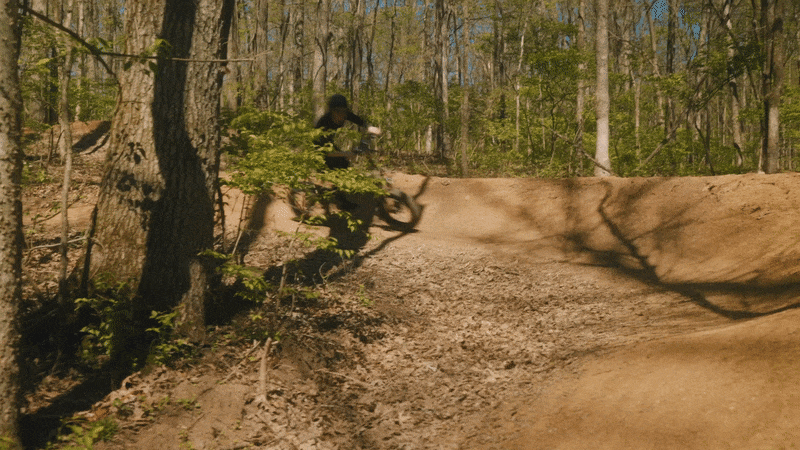 Vélo électrique pliant PVY Z20 Plus 1000W, pneus larges 20*4.0