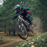 Vélo électrique DUOTTS E29, moteur 250 W, batterie 48 V 13,5 Ah, 27,5 pouces