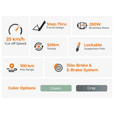 Vélo électrique Foride Roamer 1, moteur 250 W, 36 V, 13 Ah