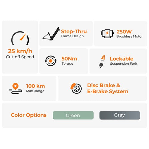 Vélo électrique Foride Roamer 1, moteur 250 W, 36 V, 13 Ah