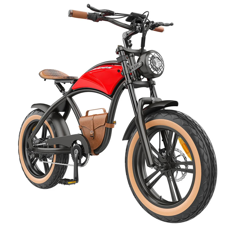 Moteur de vélo électrique Hidoes B10 1000 W