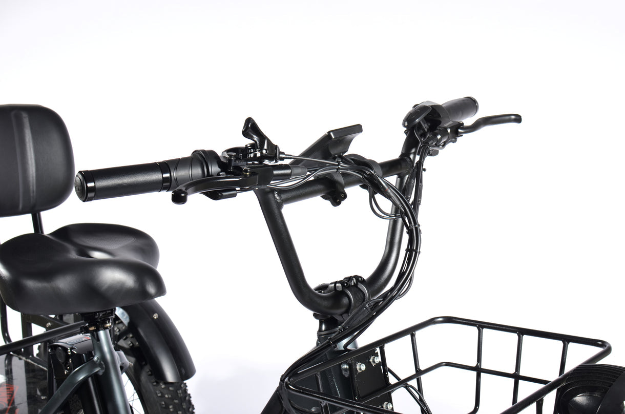 Tricycle électrique PULUMA SL001 27 Ah 500 W *2x