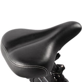 Vélo électrique KAISDA K201 3.0 36 V/20,8 Ah 