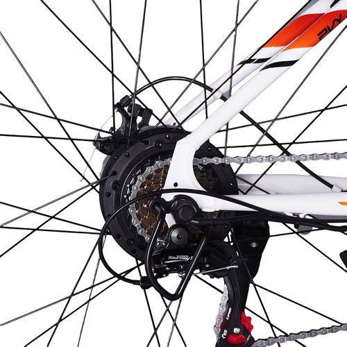 Vélo électrique PVY M29, moteur 250W, 48V, 17,5ah