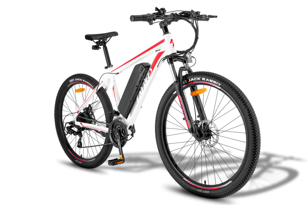FAFREES F28 MT Electric Bike