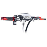 Trottinette électrique TWOFISH TF03 avec siège amovible, moteur 350 W, 48 V 15 Ah