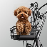 Tricycle électrique Cysum T1 Pro, moteur 250 W, 48 V 22 Ah