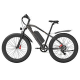 Vélo électrique GOGOBEST GF600 Plus, moteur 1000 W, 48 V 20 Ah