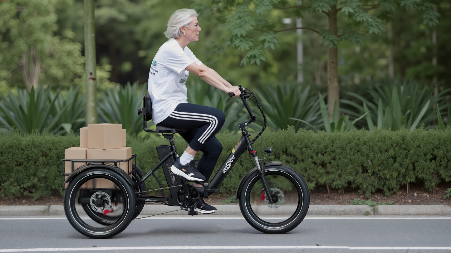 Vélo électrique Onesport OT30 Pro