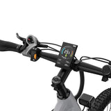 Vélo électrique DUOTTS E29, moteur 250 W, batterie 48 V 13,5 Ah, 27,5 pouces