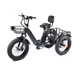 Tricycle électrique PULUMA SL001 27 Ah 500 W *2x