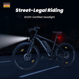 Vélo électrique tout-terrain Touroll U1 26 pouces, moteur 250 W, 36 V, 13 Ah