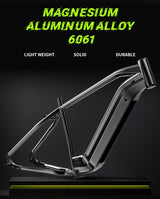 Vélo électrique DUOTTS F26 PRO 750 W*2