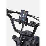 Vélo électrique ENGWE M1 15,6 Ah