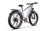 Vélo électrique DUOTTS F26Lite