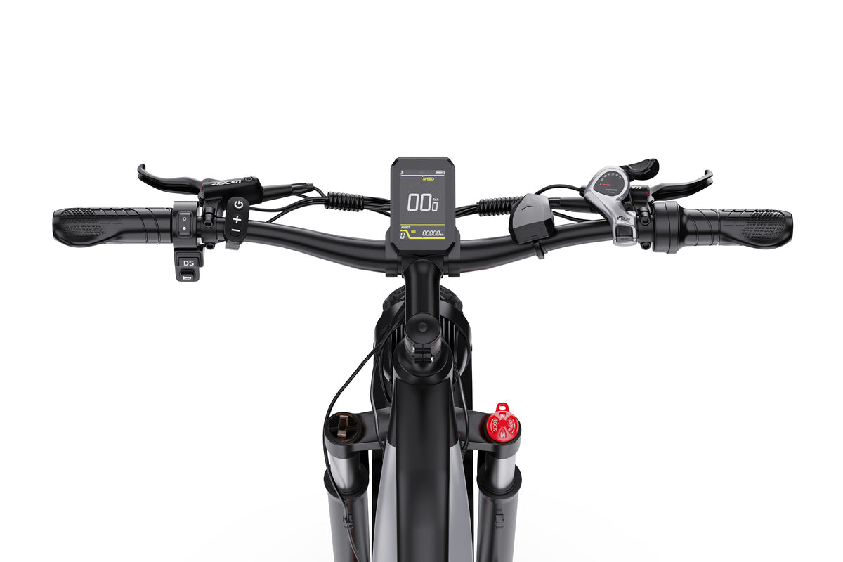 Vélo électrique DUOTTS F26Lite