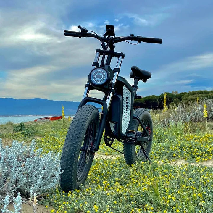 Vélo électrique tout-terrain GUNAI MX25 1000 W