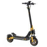 Trottinette électrique TWOFISH V2 MAX, moteur 800 W, batterie 48 V 20 Ah