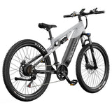 Vélo électrique DUOTTS E29, moteur 250 W, batterie 48 V 13,5 Ah, 27,5 pouces