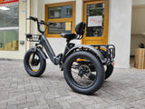 Tricycle électrique PULUMA SL001 27 Ah 500 W *2x