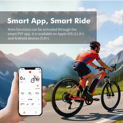 Vélo électrique PVY M29, moteur 250W, 48V, 17,5ah