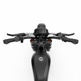 Vélo électrique DUOTTS F20 27 Ah 750 W