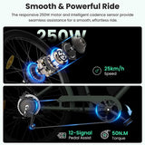 Vélo électrique Touroll B2, moteur 250 W, 36 V, 15,6 Ah