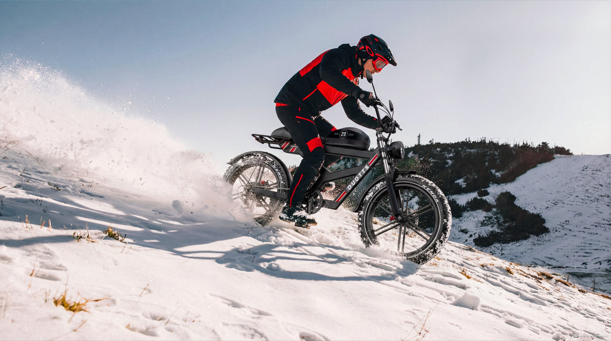 Vélo électrique DUOTTS F20 27 Ah 750 W